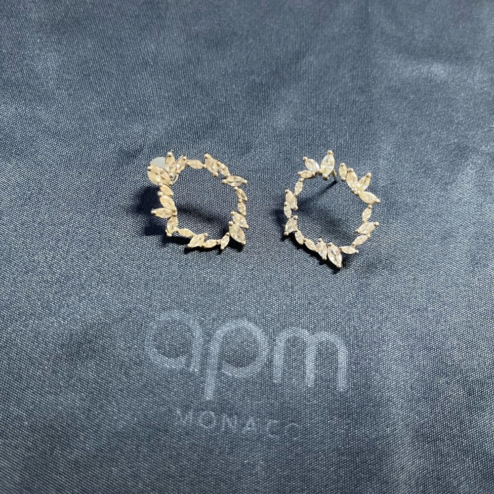 APM earrings - Picture 3 of 4